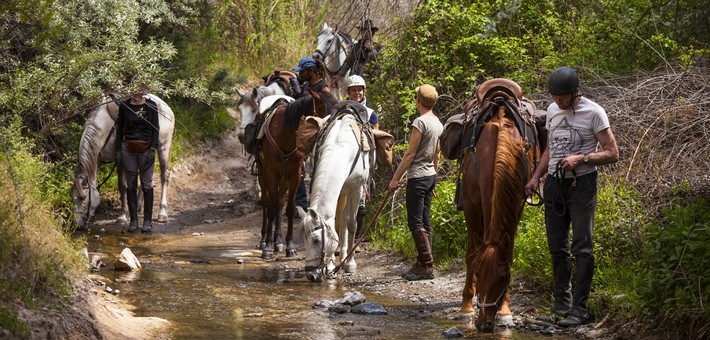 Randonnée équestre sportive en Turquie - Caval&go