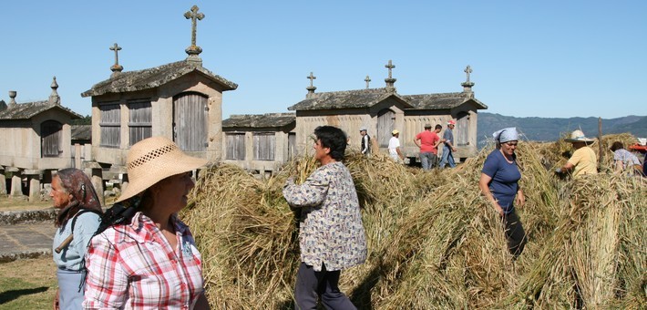 Portugal authentique, randonnée équestre au pays des chevaux Garranos - Caval&go