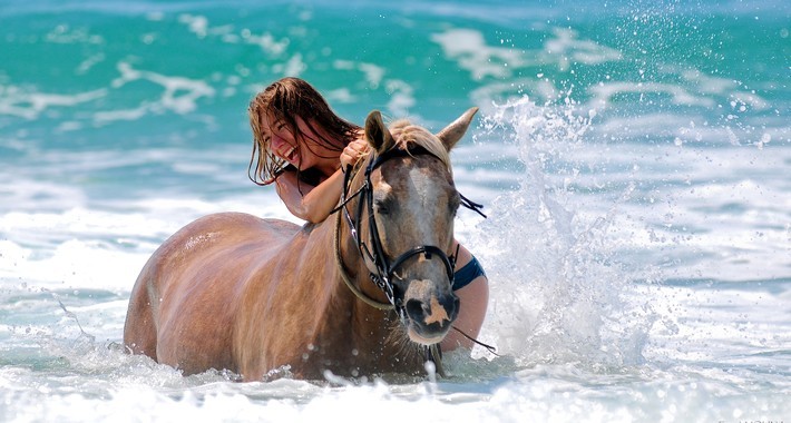 Randonnée équestre sur les plages de l