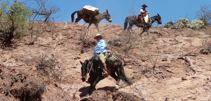 Randonnée équestre à Salta en Argentine