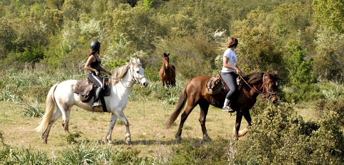 Initiation à la randonnée équestre en Corse