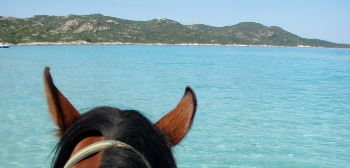 Randonnée équestre en Corse dans le désert des Agriates