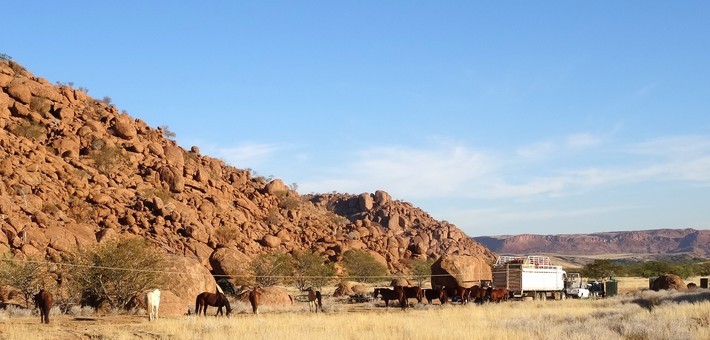 Randonnée à cheval en Namibie dans le Damaraland - Caval&go