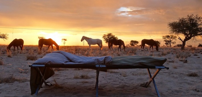 Randonnée à cheval sportive et galop dans le désert du Namib - Caval&go