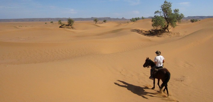 Rando à cheval au Maroc dans les jardins secrets du désert - Caval&go