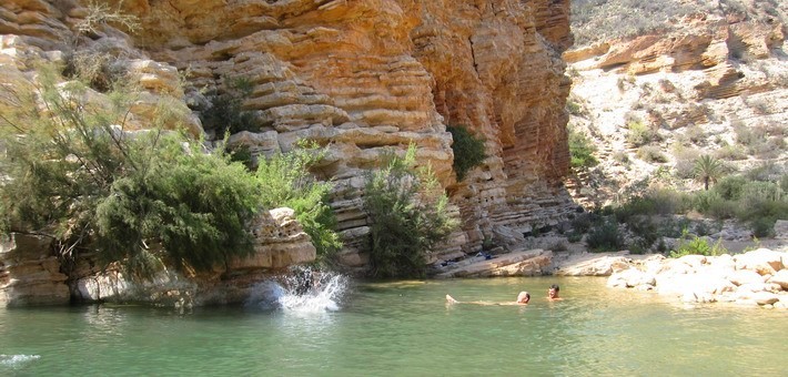 Randonnée à cheval dans les oasis, petits paradis du Maroc - Caval&go