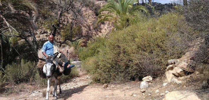 Randonnée à cheval dans les oasis, petits paradis du Maroc - Caval&go