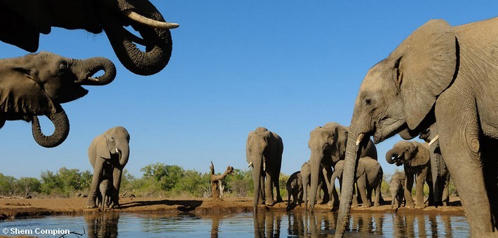 Safari à cheval au Botswana en itinérance