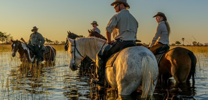 Safari à cheval au Botswana