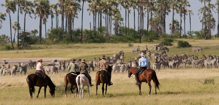 Safari à cheval du delta de l