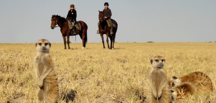 Safari à cheval du delta de l