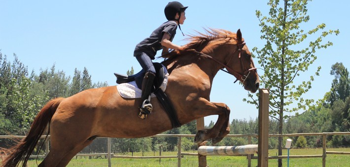 Séjour famille à cheval au Chili