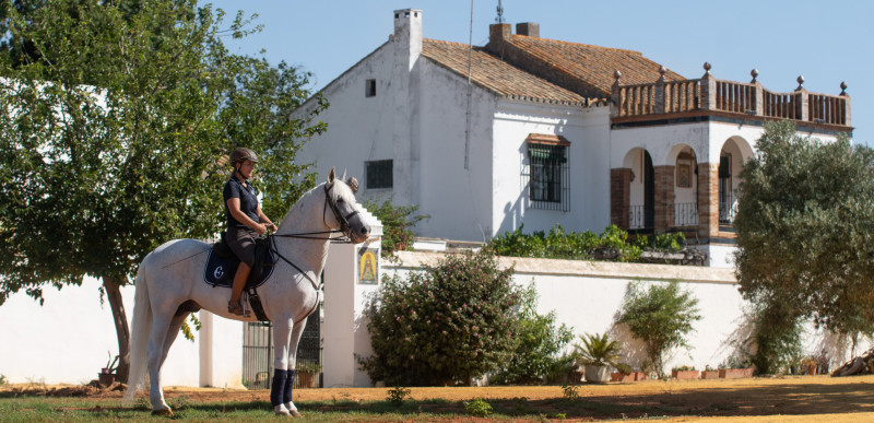 Dressage et équitation Haute Ecole à Séville - Caval&go