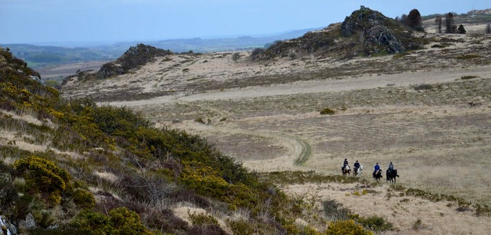 Randonnée à cheval en étoile au cœur des Montagnes Noires en Bretagne - Caval&go