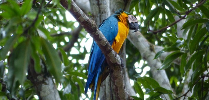 Caval&go - Voyage en liberté et cheval au Costa Rica